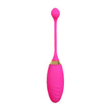 Wireless Fish Vibrator With Remote Control in Pakistan – Vibrator Bullets toys Egg Waterproof for Women