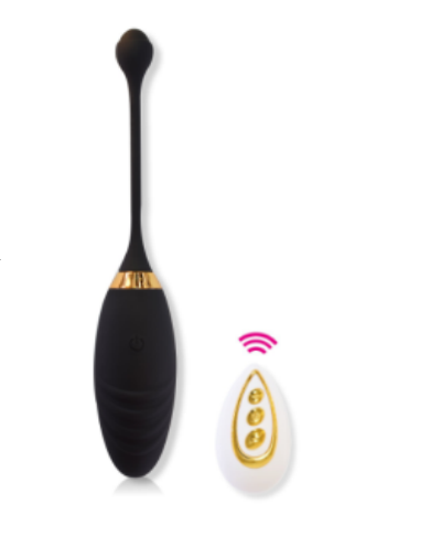 Wireless Fish Vibrator With Remote Control in Pakistan – Vibrator Bullets toys Egg Waterproof for Women